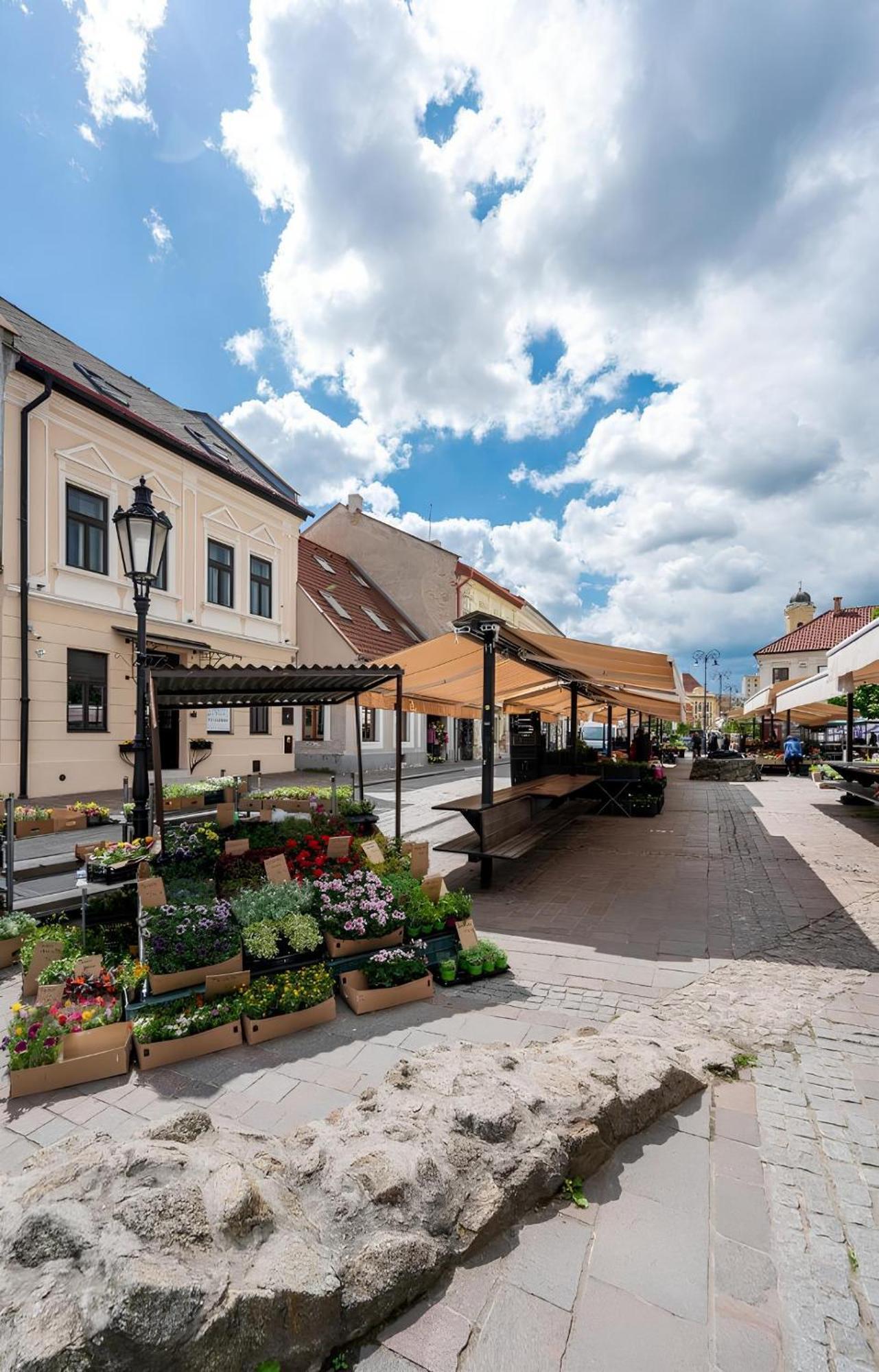 Hotel Zlate Košice Extérieur photo